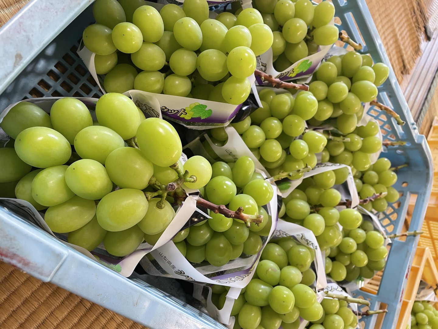 シャインマスカット　粒　1kg 数量限定】1kg前後の超大房・大粒のプレミアム『シャイン