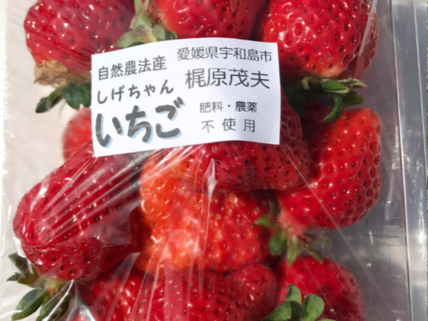 激安通販特集！ a75521c68af340118edbebc5bf1dfd 果物