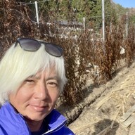 自然薯 水野農園