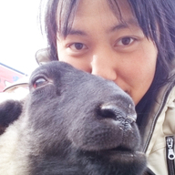 アニマルフォレストうつしの森