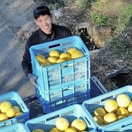 おおぐし農園