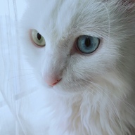 信州きらめき菜園