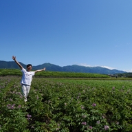 自然栽培 醍醐農園