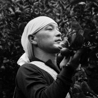 しまなみレモン