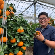 「海と空と、みかん」の大場農園