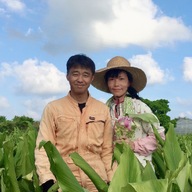 杉田農園おきなわ