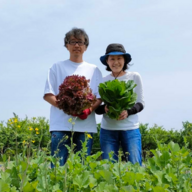 まつのき自然農園