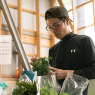 FIO野菜