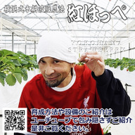 パドルファーム