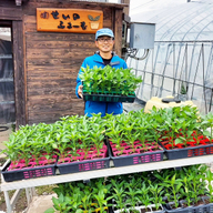 せいのふぁーむ