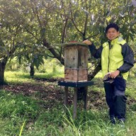 日本ミツバチ　8ハチ｜HOnEy