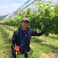 サンワファーム