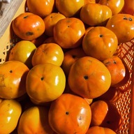 山本果樹園・農園