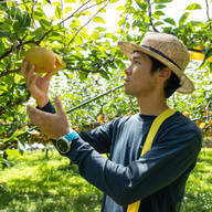 梨屋 こうさてん十