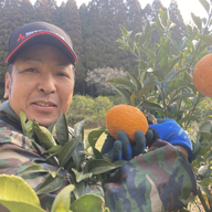 しらぬいの風　　ガーデン 長島