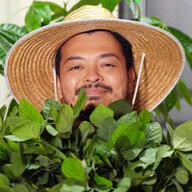 せぶとみファーム