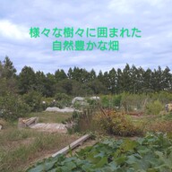 こすもす自然農園