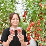 ミサトファーム