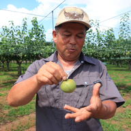 蔵王 青麻農樹園
