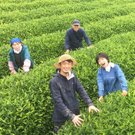 にのらく茶園　有機国産べにふうき専門