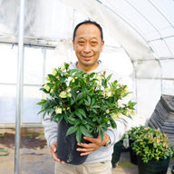 ジョルディカワムラ