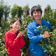 南の果樹園ニュウズ
