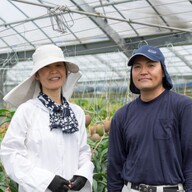 宮古島マンゴー農園アートオブティダ