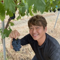 にゃんずファーム