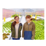 町田さらだぼうる