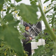 とまとや中村阮