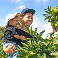 果樹園うちしば