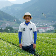 三根孝一緑茶園