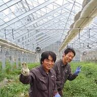 三大 （サンダイ）