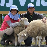 かいたファーム