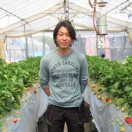 石井いちご農園