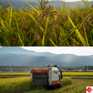 ワイズファーム