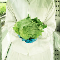 NOUMANN(ノーマン)