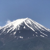数量限定商品】注文後収穫！ 和歌山 知る人ぞ知る人気の山東産