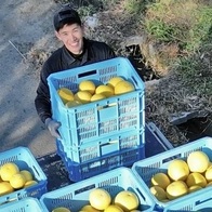 おおぐし農園