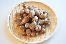 和らぎ農法　里芋　土垂便（約2.5㎏）