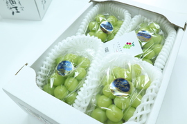 【お中元】【ギフト】厳選！農家直送！　晴れの国岡山のシャインマスカット【贈答用】2kg 4房入り