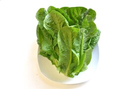 和らぎ農法　ロメインレタス　大（1～2玉）