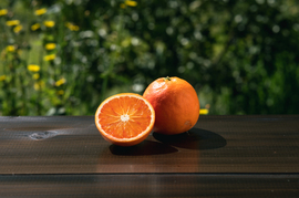 SP9 【濃厚な甘み】ブラッドオレンジ（タロッコ）9kg