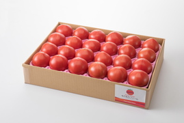 【7月下旬出荷スタート！】あ、あまい・・！高糖度トマト 2.8kg　化学肥料・農薬完全不使用　青森県産