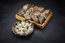 （加熱用）宮島が育んだ生牡蠣セット（むき身0.5kg+殻付き15個入り）