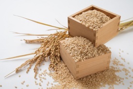 【一等米令和5年度産玄米】🌾長崎県認定特別栽培米にこまる2㎏🌾宮下さんちのおいしいお米