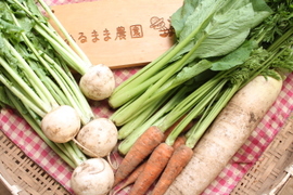 【レシピ付】旬のおまかせ野菜セットS千葉県産（4~5品）【農薬：栽培期間中不使用】