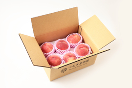 【朝どれ】（ご家庭用　訳あり商品）糖度15度以上！　1.5～2.0kg（4-8玉）