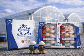 3色いちご・特選セット　250g×２P