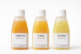 【ギフト・ご家庭常備に】熊本県宇城市産 季節の柑橘 100%ストレートジュース 5本セット(150ml×5本)